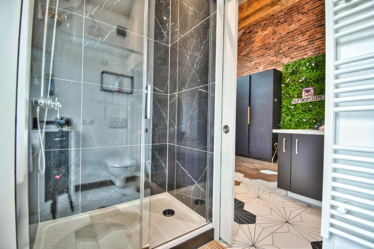 Апартаменты * Le Loft Des Mysteres * Мэнтенон Экстерьер фото