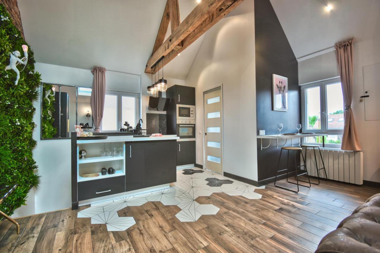 Апартаменты * Le Loft Des Mysteres * Мэнтенон Экстерьер фото