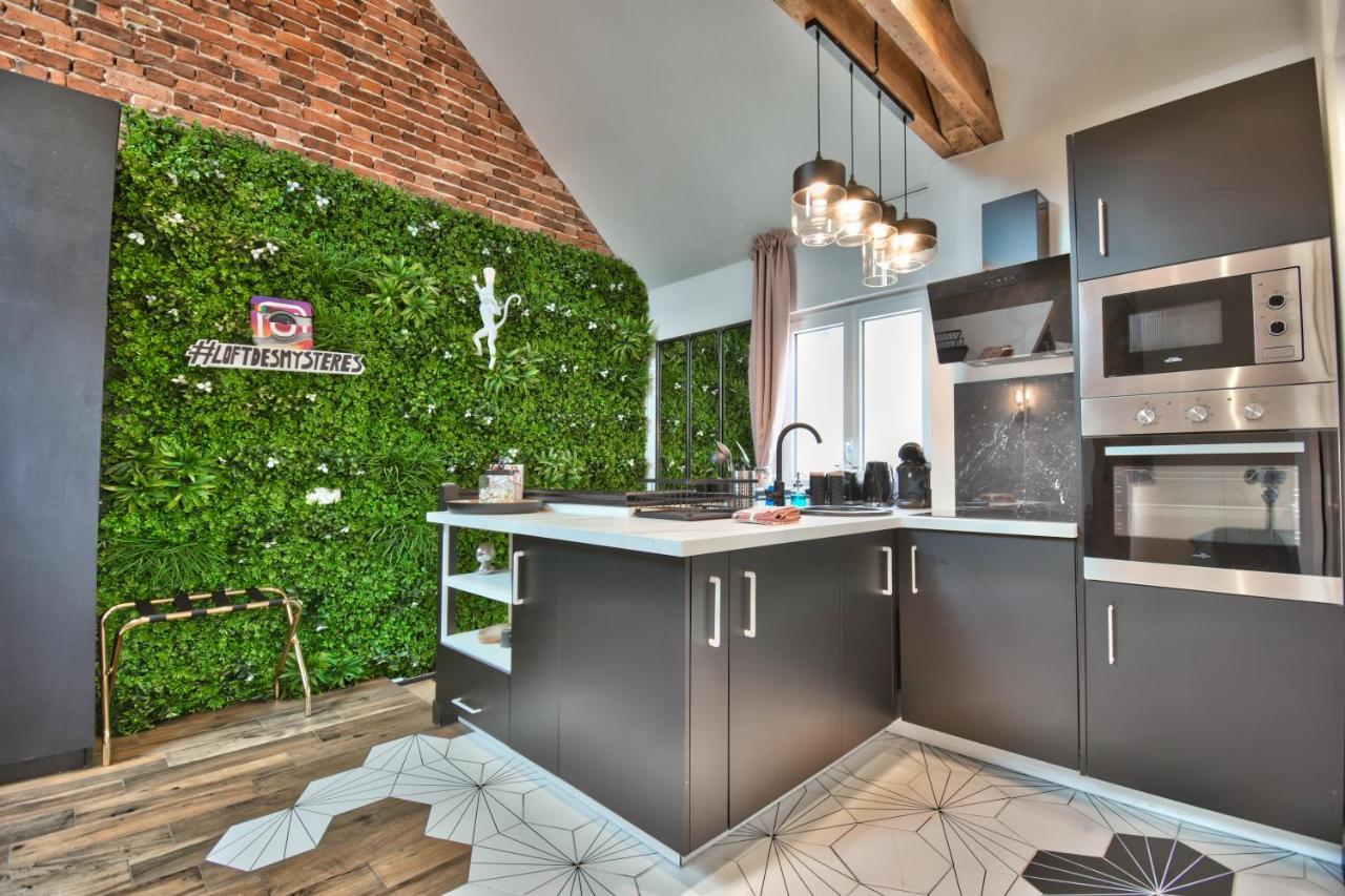 Апартаменты * Le Loft Des Mysteres * Мэнтенон Экстерьер фото